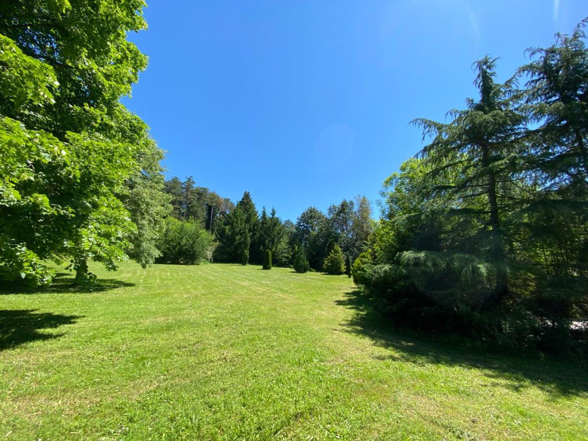 Manoir Et Appartements Avec Piscine Au Domaine De Bize Mirepoix ماريبواه المظهر الخارجي الصورة